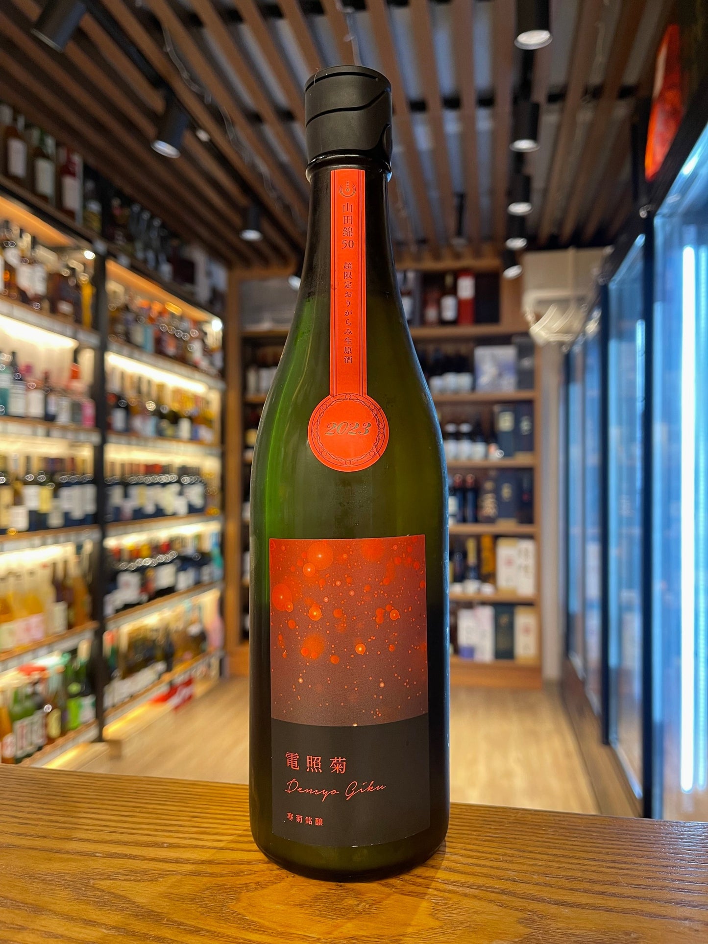寒菊 電照菊